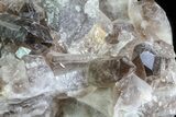 Dark Smoky Quartz Cluster - Large Crystals #60925-5